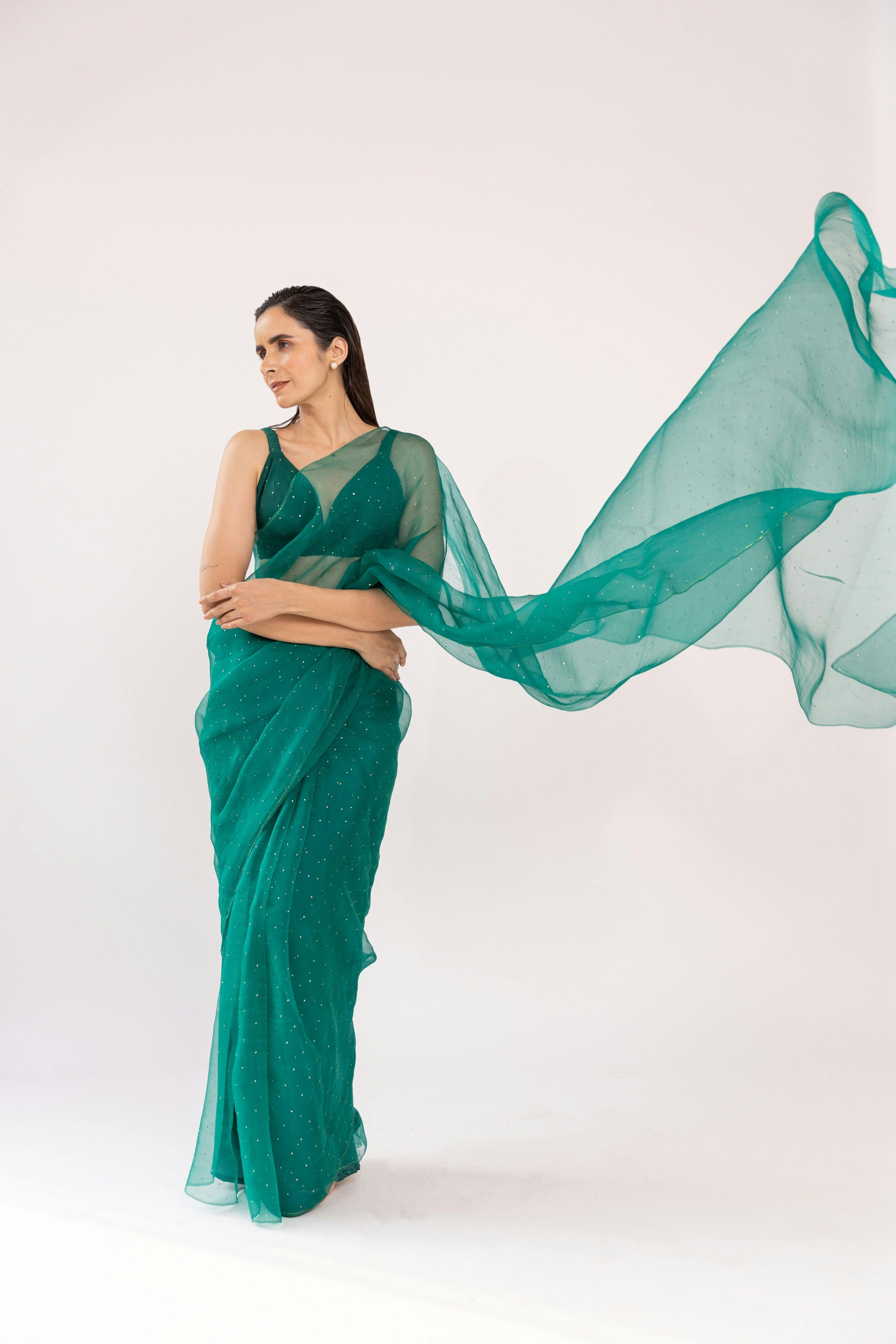 Shalee Mukesh Silk Organza Saree, a product by Shaakha