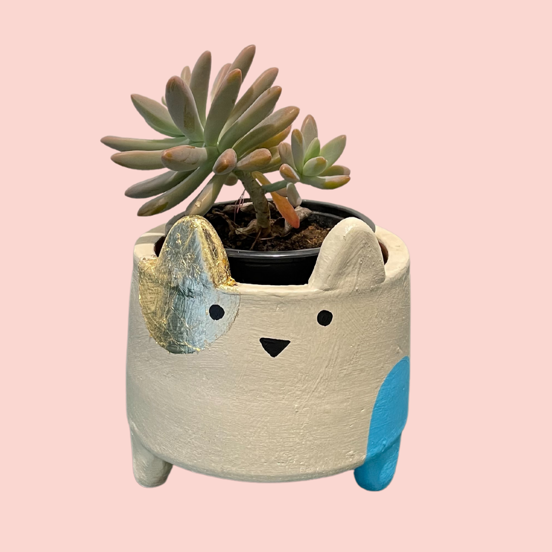 Terracotta Planters - Small Catty Gold & Blue, a product by Oh Yay project