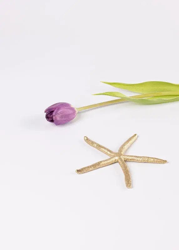 Decorative Brass Starfish, a product by Gado Living