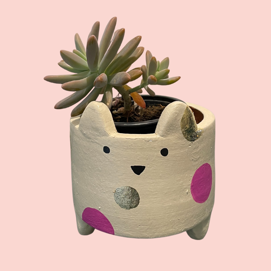 Terracotta Planters - Small Catty Gold & Pink Spotted, a product by Oh Yay project